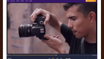 sin city gigolo a murder in las vegas videos