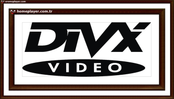 wqzwwwxDIVX logo 00061 00553