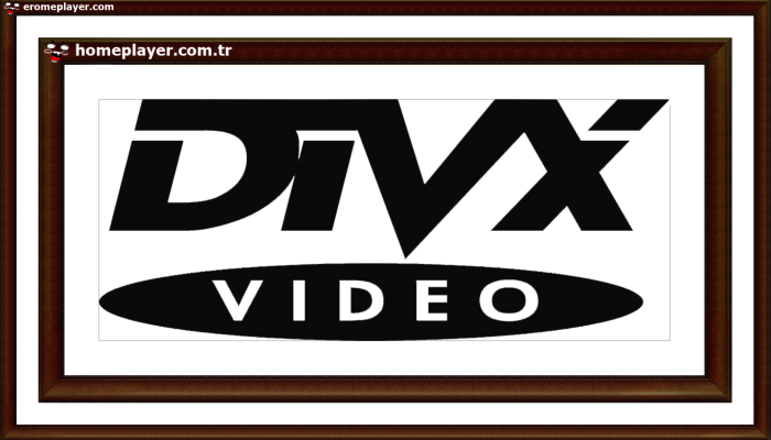 wqzwwwxDIVX logo 00061 00553