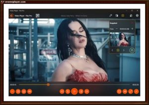 филми с джейсън стейтъм механикът